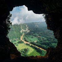 rainforest through a cliff side cave